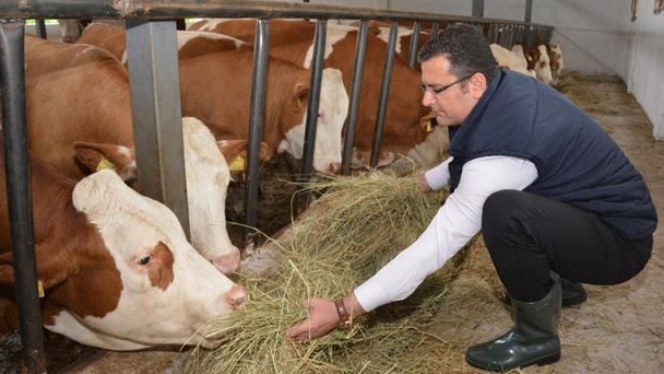 Hayvancılık Yapanlara Beklenen Destek Açıklandı